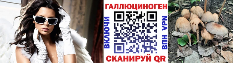 Галлюциногенные грибы Psilocybine cubensis  Сольцы 