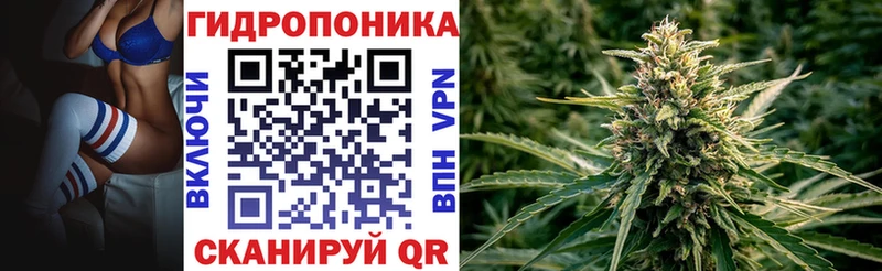 нарко площадка формула  Сольцы  Конопля Amnesia 
